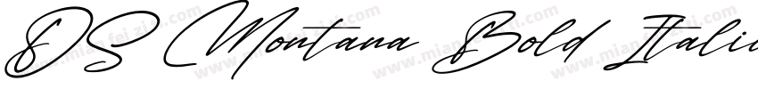DS Montana Bold Italic字体转换